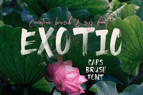 Download free ExoticBold Regular font