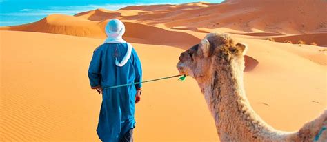 exoticca morocco tour reviews