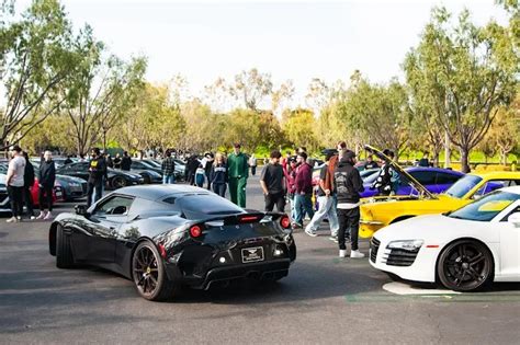 exotics and espresso irvine