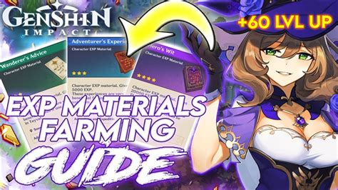 Exp Materials Genshin Impact