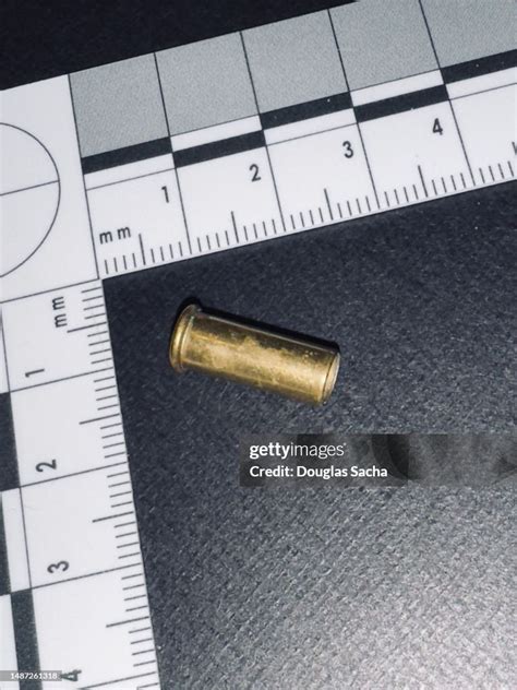 Expanded Shell Casing
