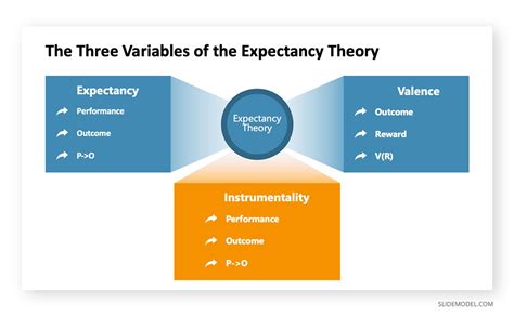 expectancy theory model
