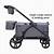 expedition stroller wagon