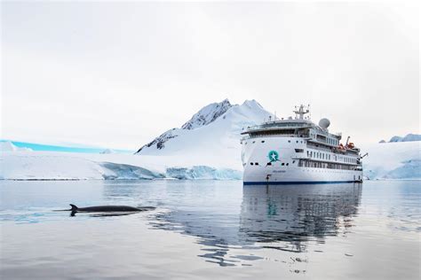 expedition cruises to antarctica wildlife