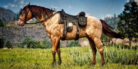 Expensive Horse Rdr2