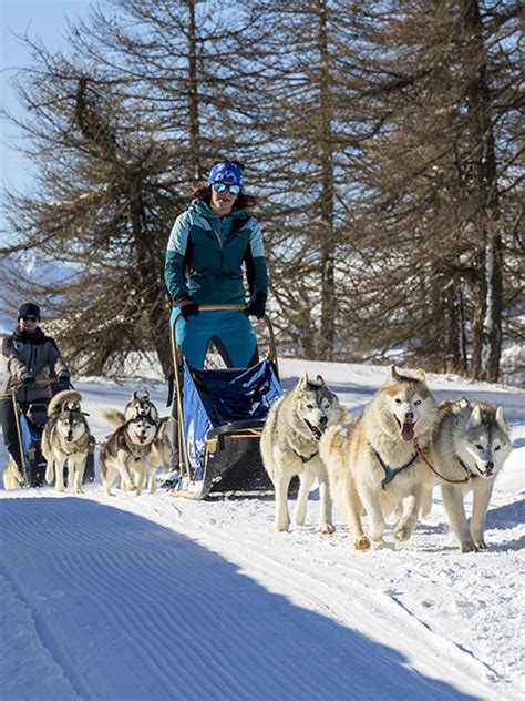 experience husky sledding