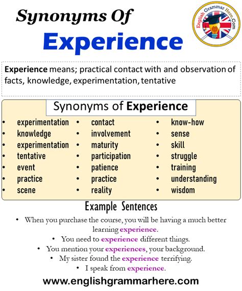 experience meaning in english with example