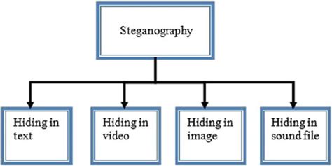 experience to cognize steganography
