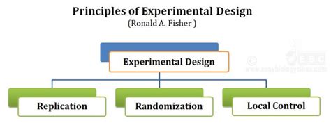 experimental design in statistics notes