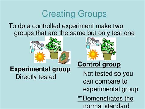 Experiments With Control Groups