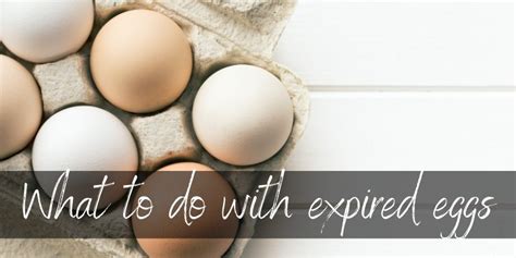 Expired Eggs Use