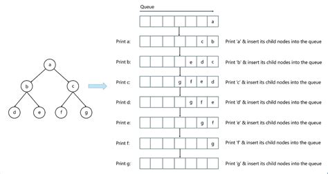 explain breadth first search algorithm with example
