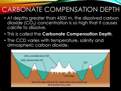 Explain Carbonate Compensation Depth