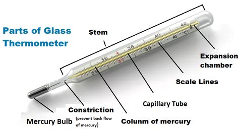 explain clinical thermometer with diagram