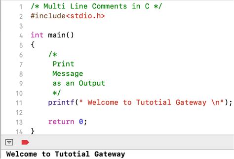 explain comments in c with example