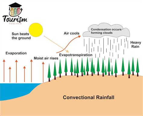 explain convectional rainfall in short