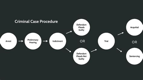 explain criminal case