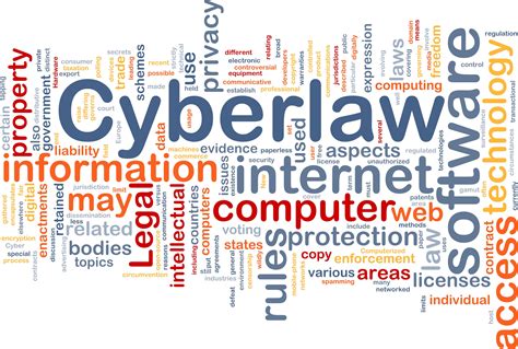 explain cyber law in detail