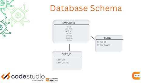 explain database schema in dbms