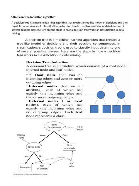 explain decision tree induction algorithm with example