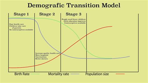 explain demographic transition