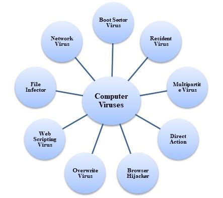 explain different types of computer viruses with example