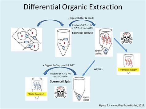 Explain Differential Extraction
