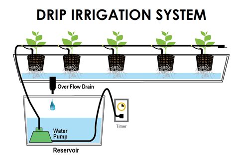 Explain Drip Irrigation System With Diagram