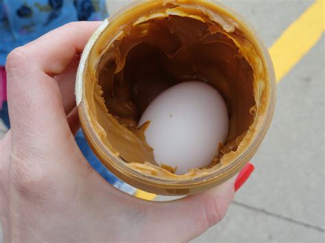 explain egg drop experiment