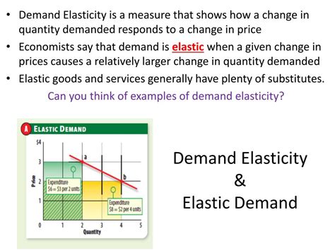 explain elasticity of demand in your own words