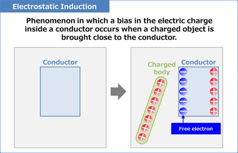 explain electrostatic induction using a neutral body