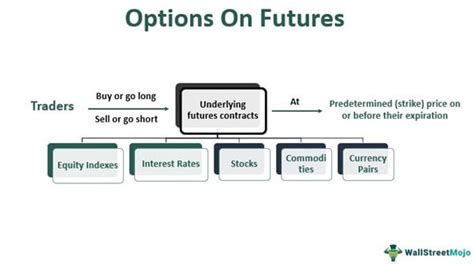 explain futures and options with example