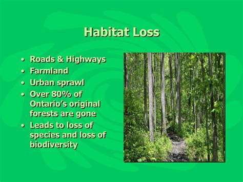 Explain How Habitat Loss And Fragmentation