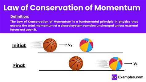 explain law of conservation of momentum with example