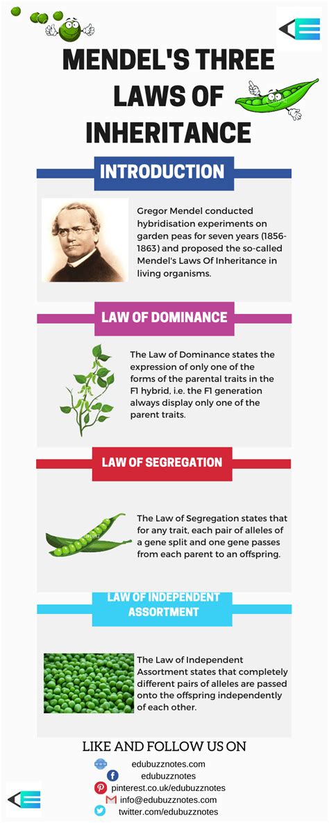 explain law of inheritance class 10
