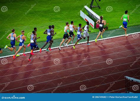 Explain Middle Distance Race
