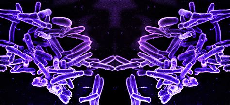 Explain Mirror Of Life