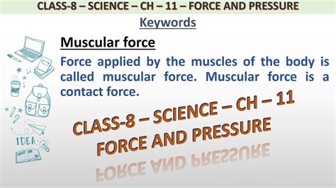 explain muscular force with example class 8