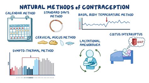 Explain Natural Method And Sterilization Method Of Contraception