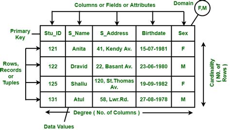 explain network and relational data model with example