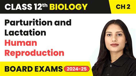 explain parturition class 12