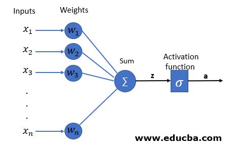 explain perceptron learning algorithm