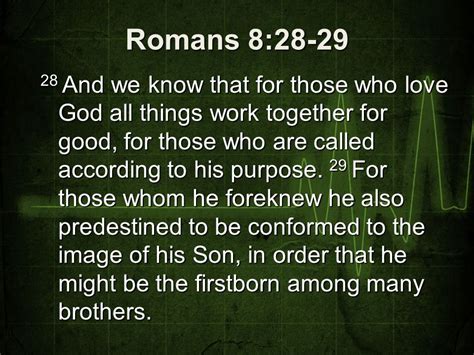 explain romans 8:28-29