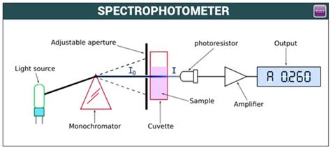 Explain Spectrophotometer With Example