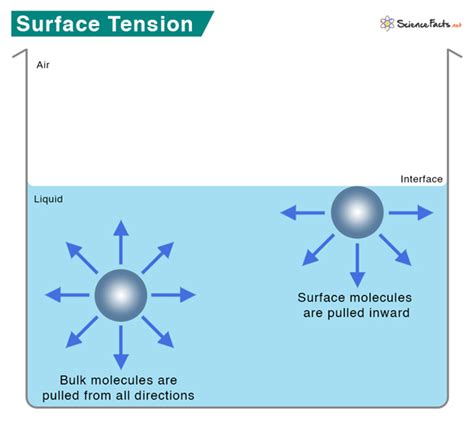 Explain Surface Tension By Completing The  Diagram Below