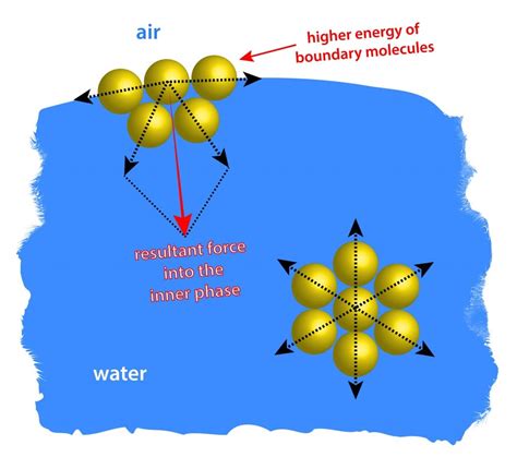 Explain Surface Tension Using Intermolecular Forces