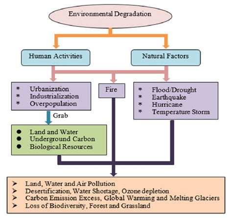 explain the causes and effects of environmental changes from 1900 present