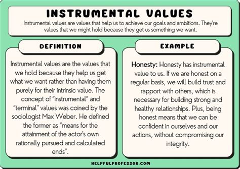 explain the difference between intrinsic value and instrumental value