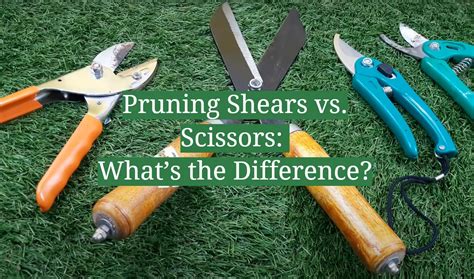Explain The Difference Between Paper Scissors And Pruning Shears In Terms Of Mechanical Advantage