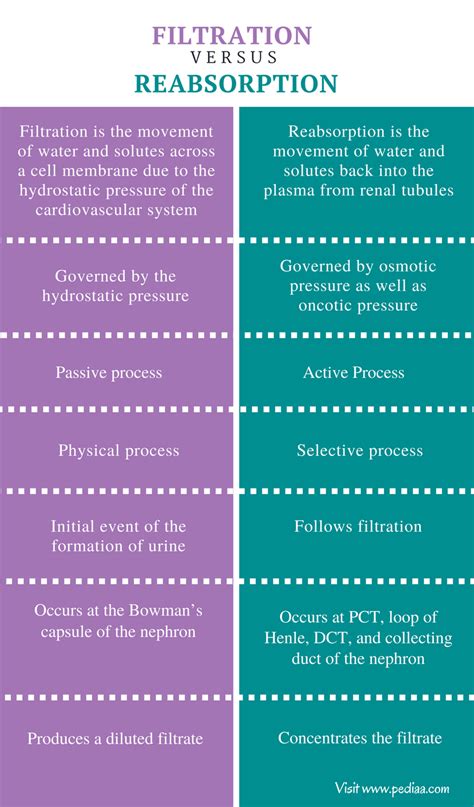 Explain The Differences Between Filtration And Reabsorption In The Kidneys